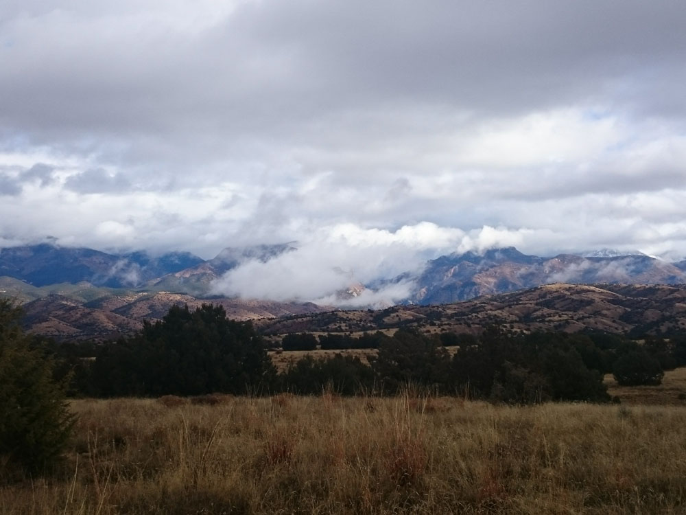 Gila National Forest