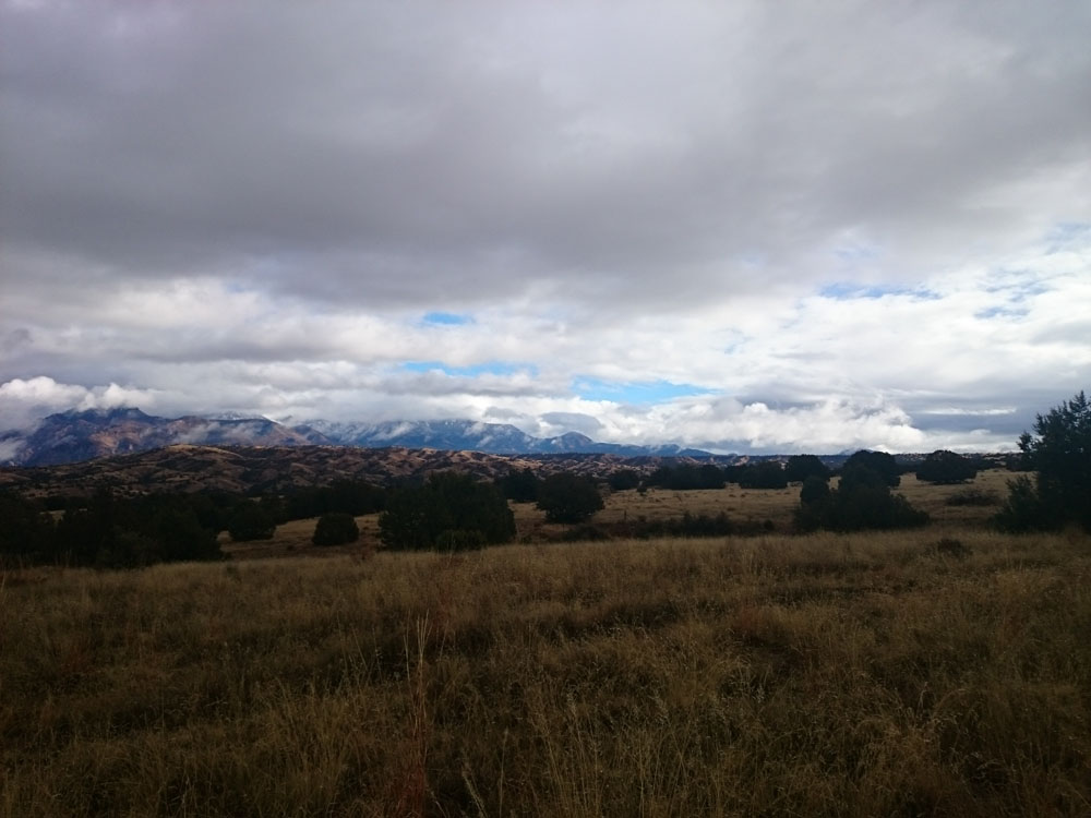 Cibola National Forest