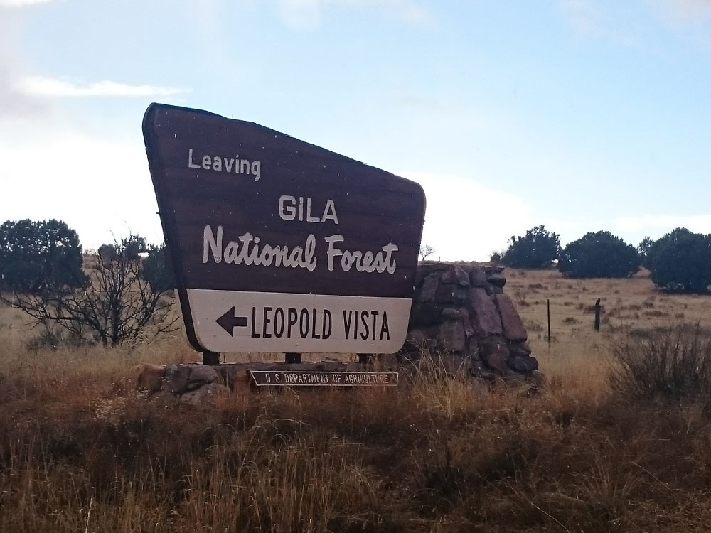 Gila National Forest