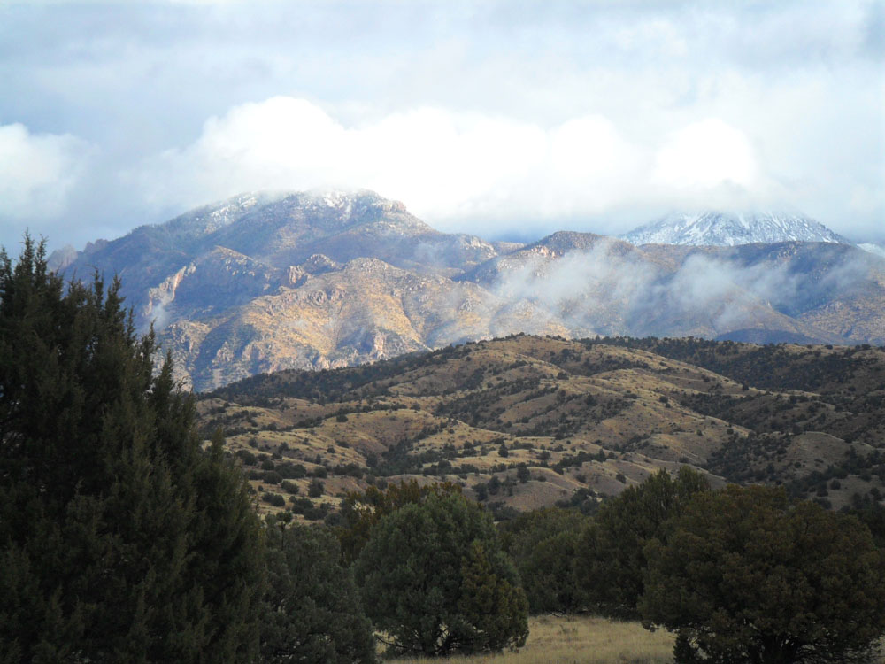 Cibola National Forest