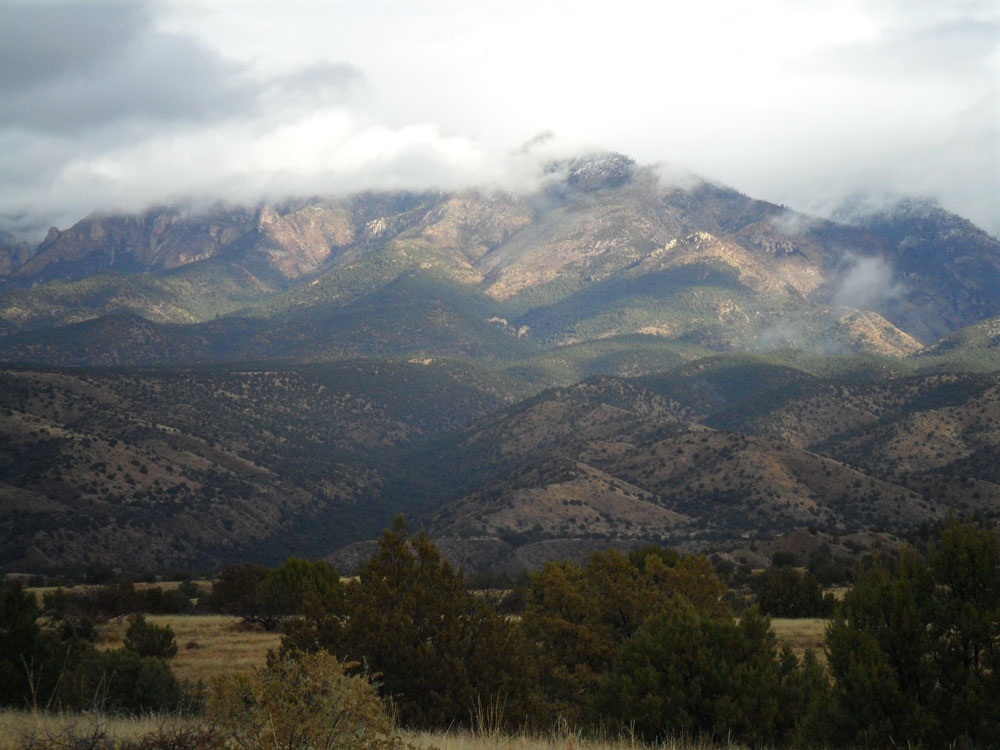 Gila National Forest