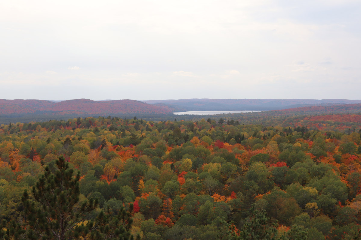 View from top of Lookout Trail